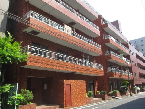 �����磱���� �������漼