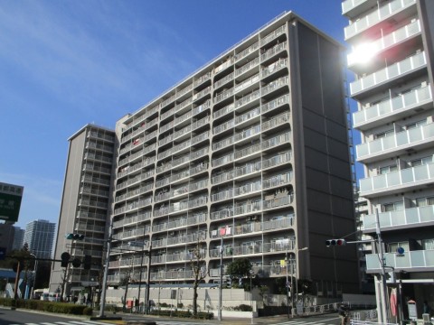 �����磱���� �������漼