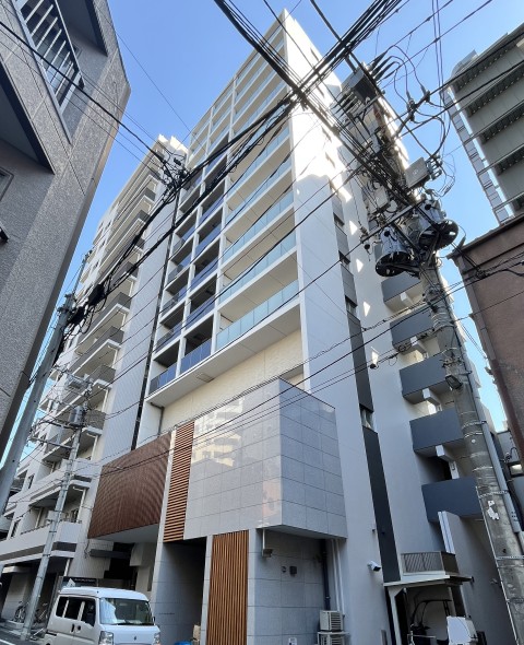 ��ð������ �������漼